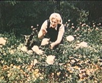 ������ ������