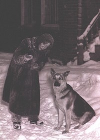 ������ ������